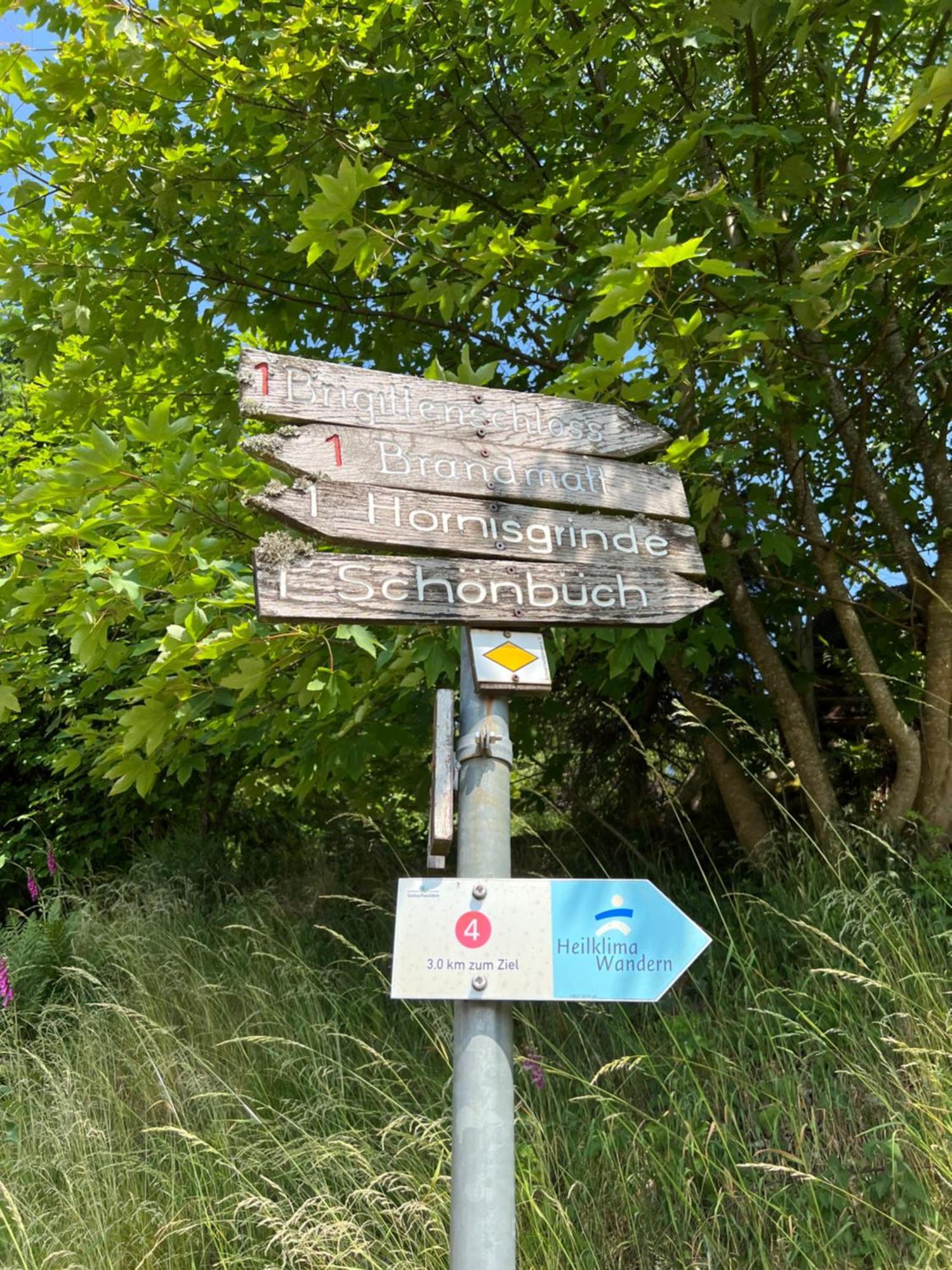 דירות סאסבאכוואלדן An Wanderwegen Gelegen Mit Terrasse Und Boxspringbett מראה חיצוני תמונה